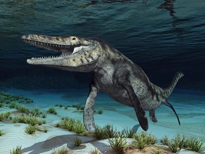 Nəhəng dəniz canavarının qalıqları tapıldı