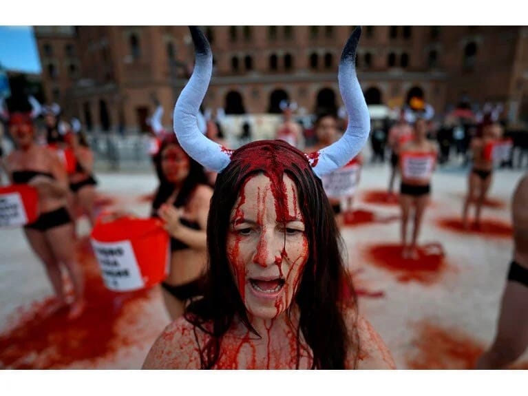 Madriddə qırmızı boya etirazı: Buğa döyüşlərinə son