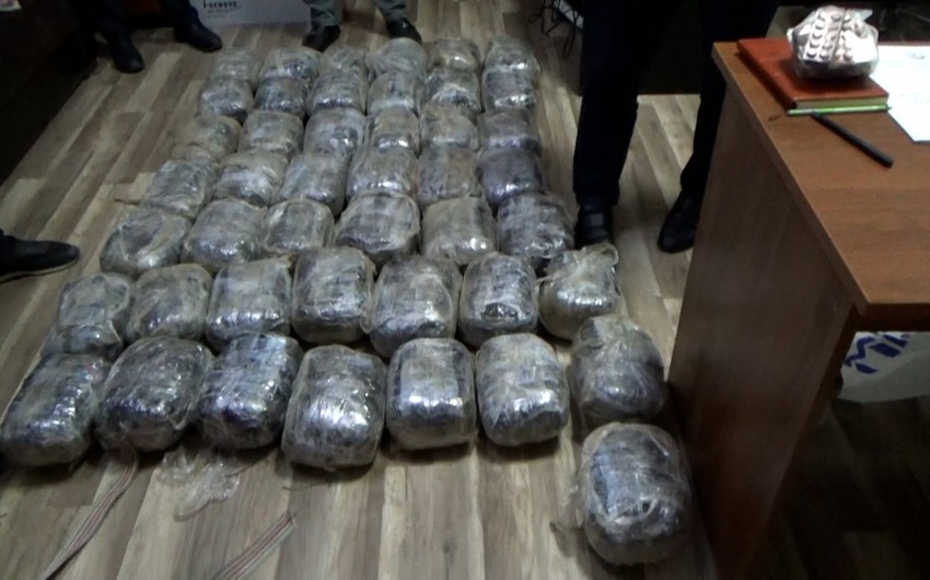 Abşeronda əməliyyat keçirilib, 48 kq narkotik vasitə aşkarlanıb
