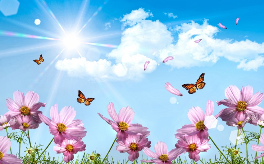 Sabah 27 dərəcə isti olacaq