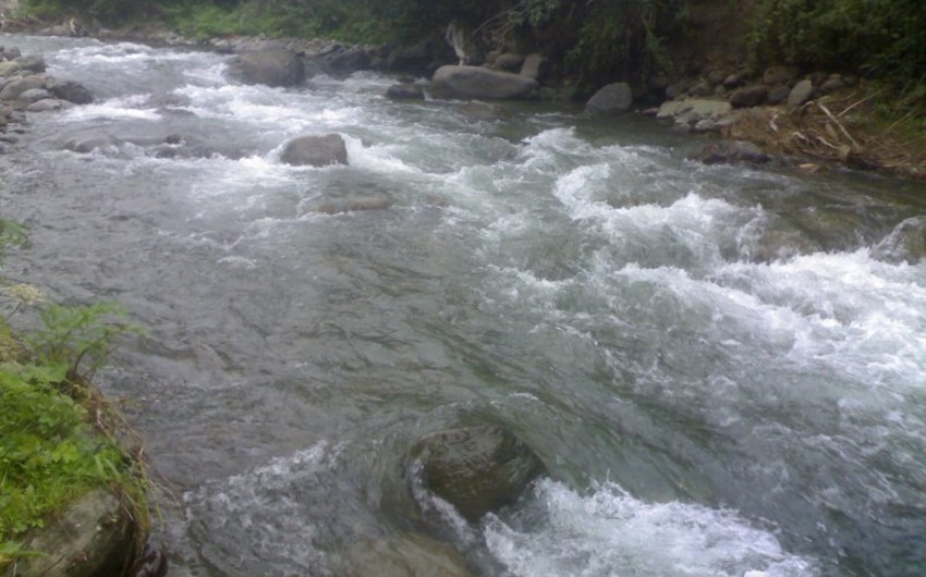 Çaylarda müşahidə olunan faktiki vəziyyət açıqlanıb