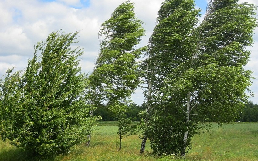 Sabah hava küləkli olacaq - XƏBƏRDARLIQ