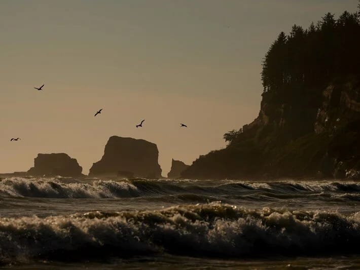 Alimlər dənizdən gələn fəlakət barədə xəbərdarlıq edirlər