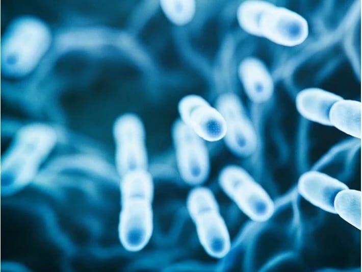 Son üç ayda Nigeriyada 4000-dən çox meningit hadisəsi qeydə alınıb