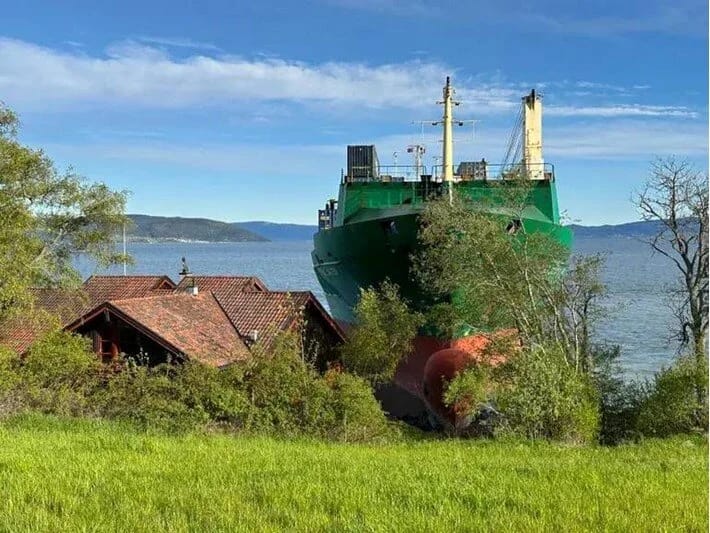 Gəmi sahilə çıxdı, sahibi eşitmədi: Bağdakı qonaq sürprizə səbəb oldu