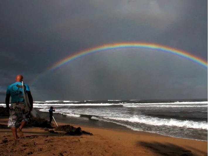Okeanlar qaralır: Dəniz həyatı təhlükə altındadır 