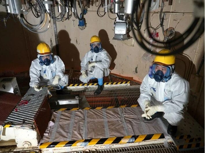 Fukusimanın torpağına güllər əkiləcək