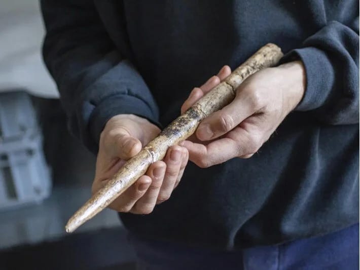 20 min illik balina alətləri tapıldı: İspaniya sahillərində tarixi kəşf 