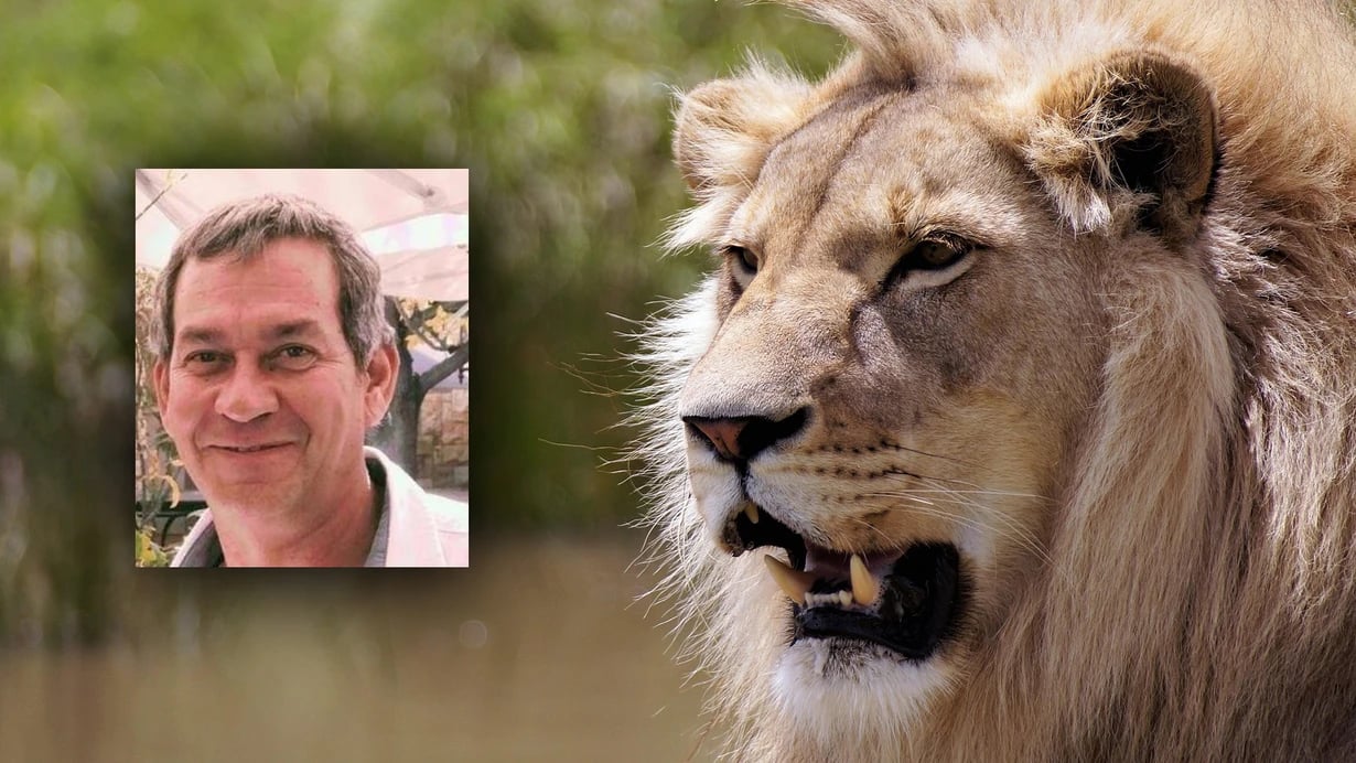 İş adamının faciəli sonu: Şir tərəfindən PARÇALANDI