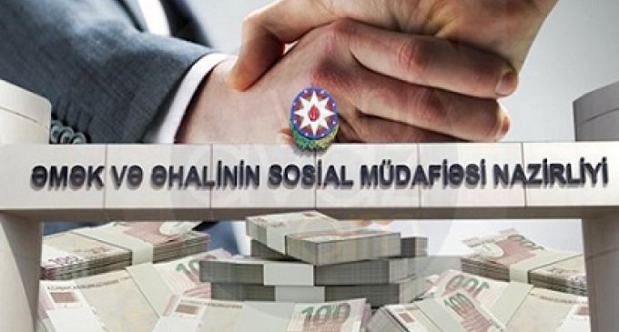 Məşğulluq Agentliyi Gülnarə İbadovadan yenə ofis icarəyə götürdü - Bu dəfə Lənkəranda