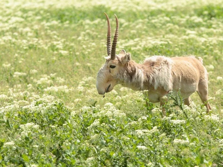 Rusiyalı fermerlər Putindən kömək istəyirlər