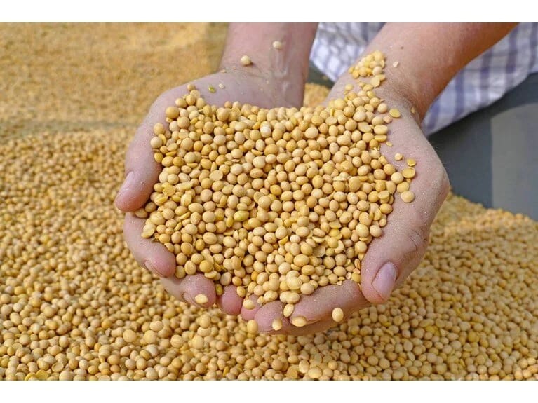 Ekspert həkim 2 xroniki xəstəliyin qarşısını alan qidaları açıqladı