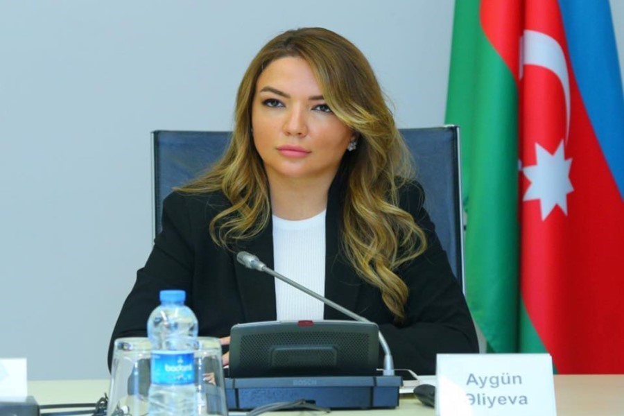 Prezidentin sərəncamı ilə Təşkilat Komitəsi yaradıldı – Aygün Əliyeva da üzv təyin olundu