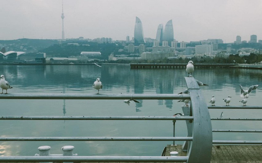 Dənizkənarı Milli Park ərazisində sudan meyit çıxarılıb