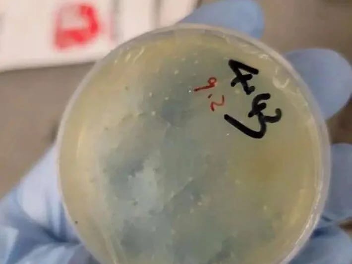 Gizli bioloji maddə qalmaqalı: Çinli alim hava limanında tutuldu