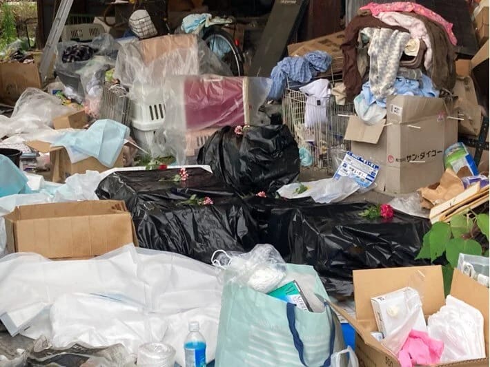 Pişikləri qoruyan könüllünün evində 100-dən çox ölü pişik tapıldı