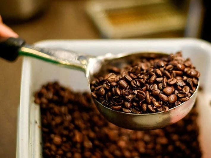 Qəhvə ilə bağlı yeni araşdırma: Ölüm riski