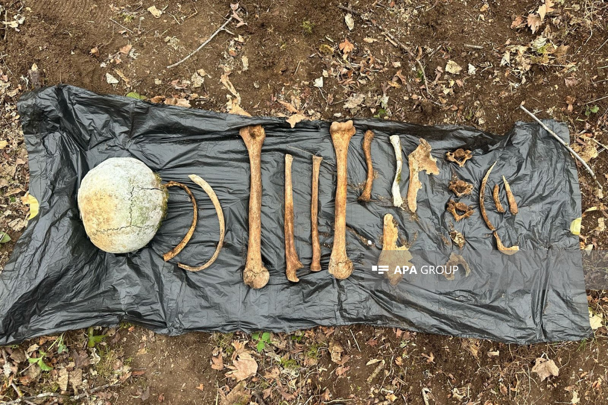 Cəbrayılda insana məxsus olması ehtimal edilən sümük qalıqları tapılıb