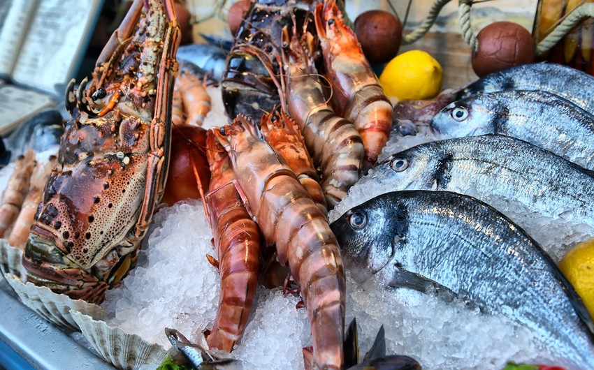 Krevet və taraklarda ölümcül və sağalmaz bakterial infeksiyalar aşkarlanıb