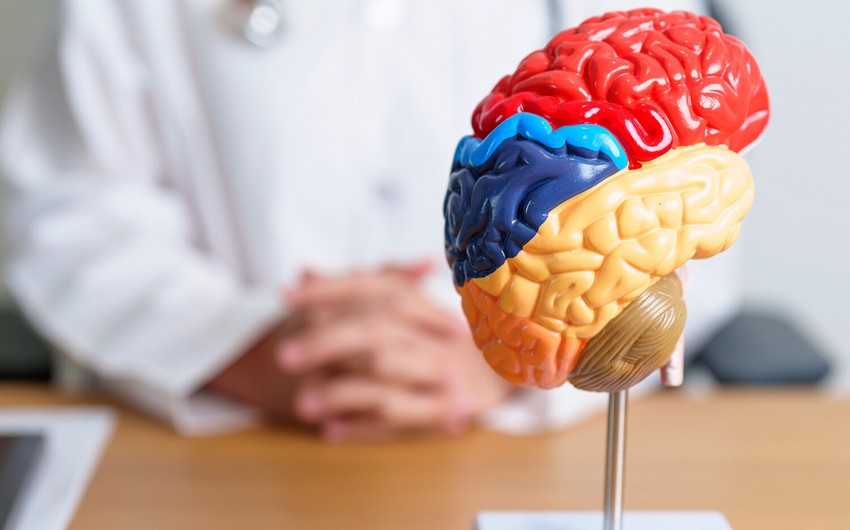 İnsan beyninin əqli yorğunluğa necə reaksiya verdiyi bəlli olub