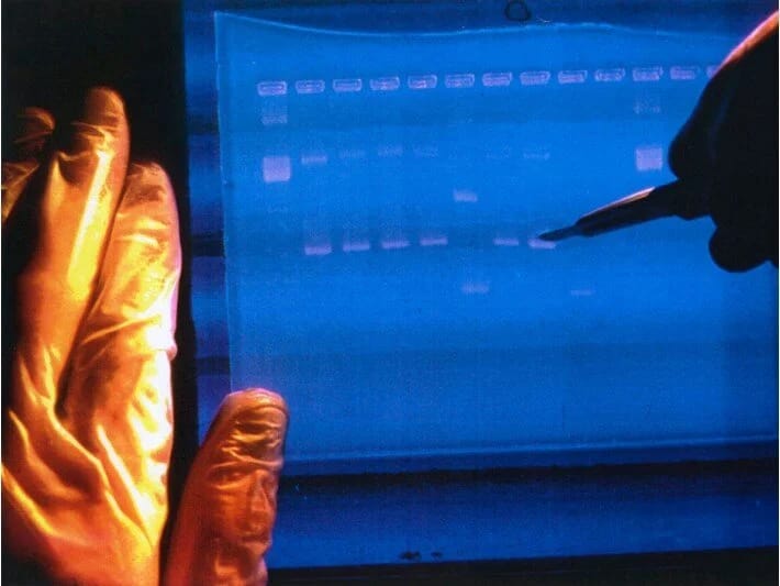 DNT-lər yenidən kodlaşdırılacaq