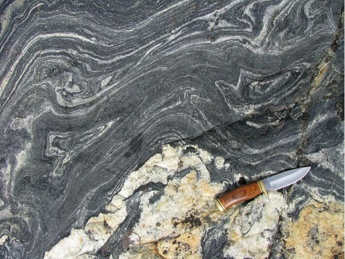 Alimlər həyatın necə başladığına dair yeni ipucu tapıblar