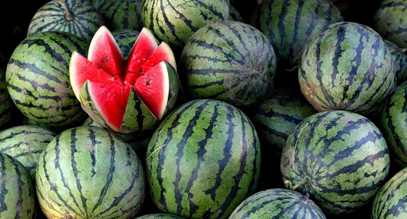 Azərbaycanda 14 nəfər qarpızdan ZƏHƏRLƏNİB