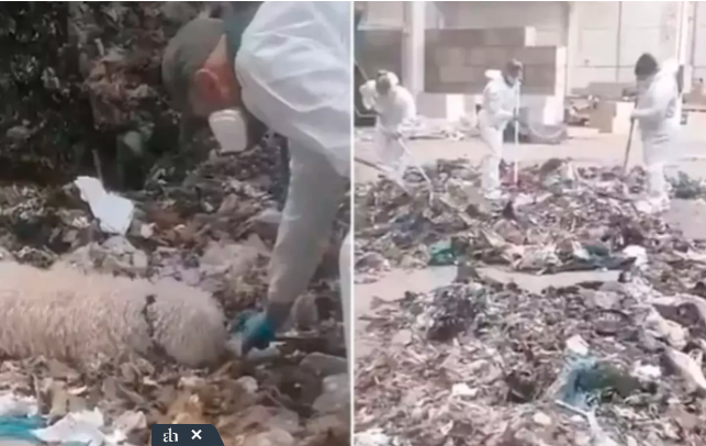 Yeni doğulan körpəsini parçalayaraq zibil qutusuna atan ana həbs edildi