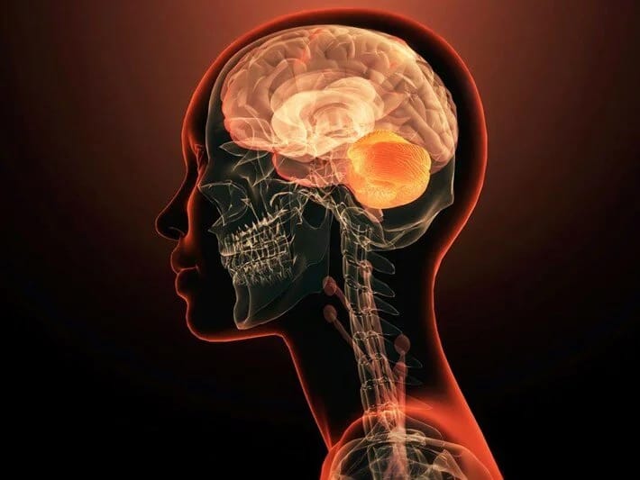 Yeni araşdırma: Beyin də yağ yandırır 