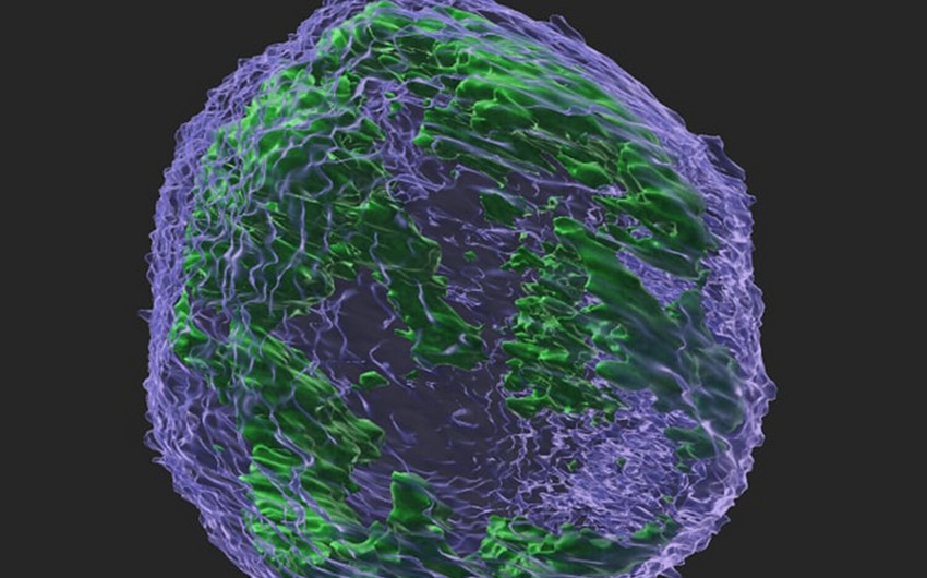 Xərçəng xəstəliyi hüceyrələrinin yayılmasının qarşısını alan maddə tapılıb