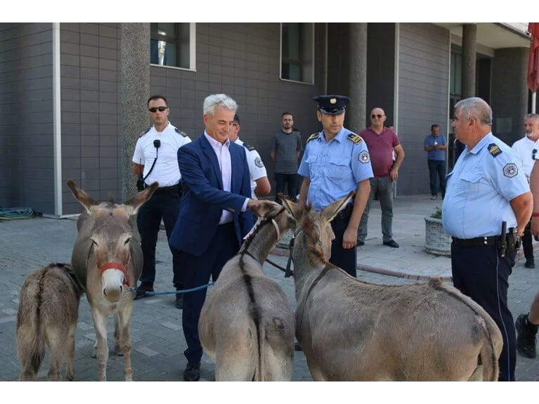 41 iclasda prezidentini seçə bilməyən parlamentə eşşək etirazı