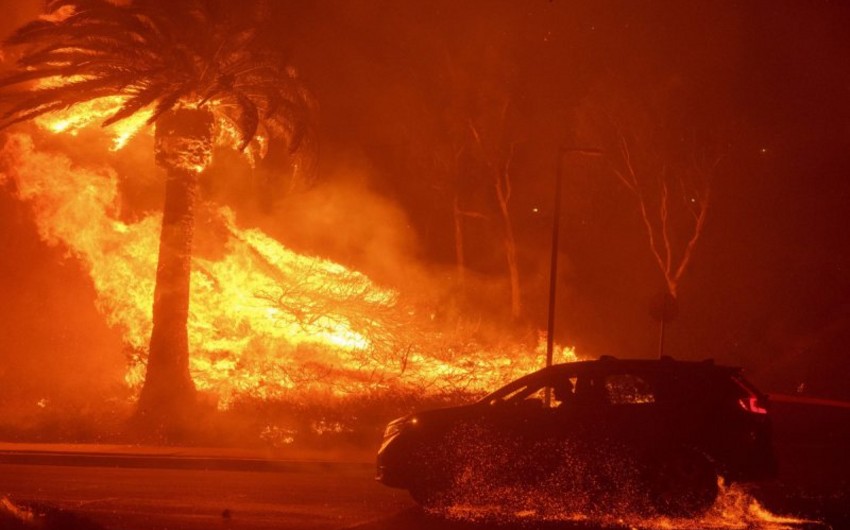 Kaliforniyada meşə yanğınlarının miqyası artıb