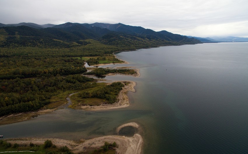Rusiya hökuməti meşələrin bərpası üçün Baykal gölü yaxınlığında ağacların kəsilməsinə icazə verib