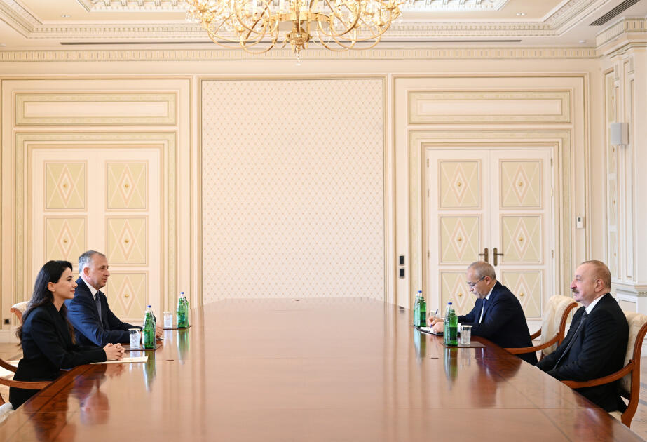 İlham Əliyev Mariam Kvrivişvilini qəbul edib - FOTO