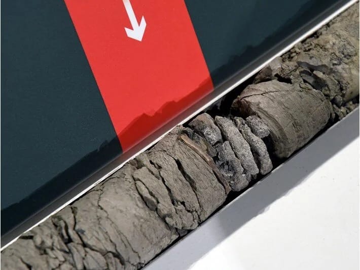 Muzeyin dayanacağının altından dinozavr qalığı tapıldı