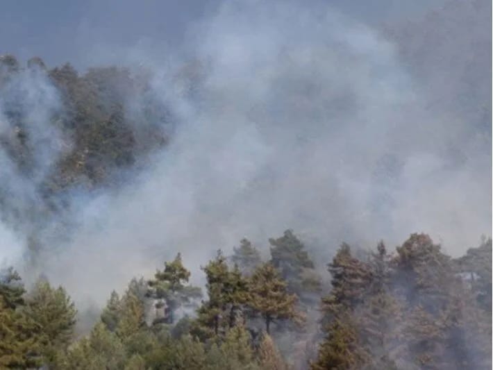 İtaliyanın Sardiniya adasında 20 fərqli yerdə meşə yanğınları başlayıb