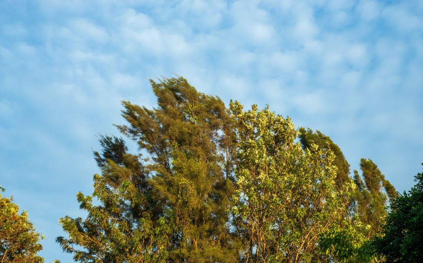 Küləkli hava şəraiti ilə bağlı SARI XƏBƏRDARLIQ