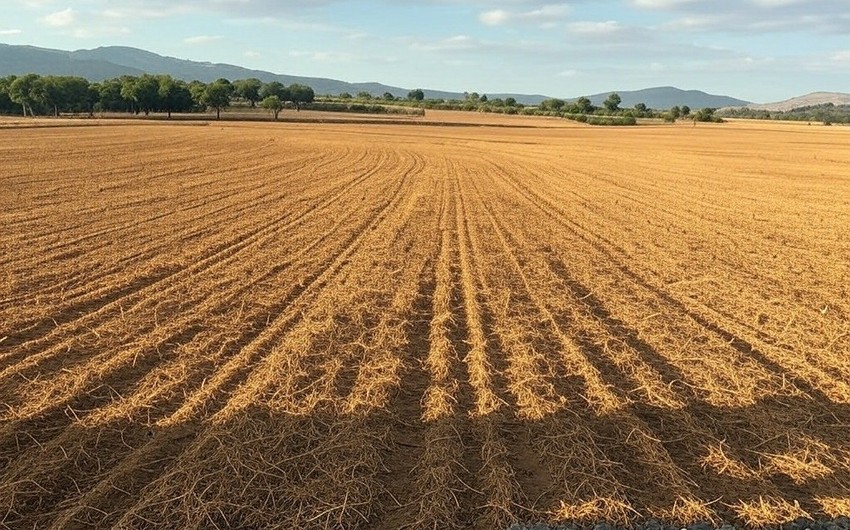 Azərbaycanda SSRİ dövründə ayrılmış torpaq sahələrinin qeydiyyatı asanlaşdırılıb