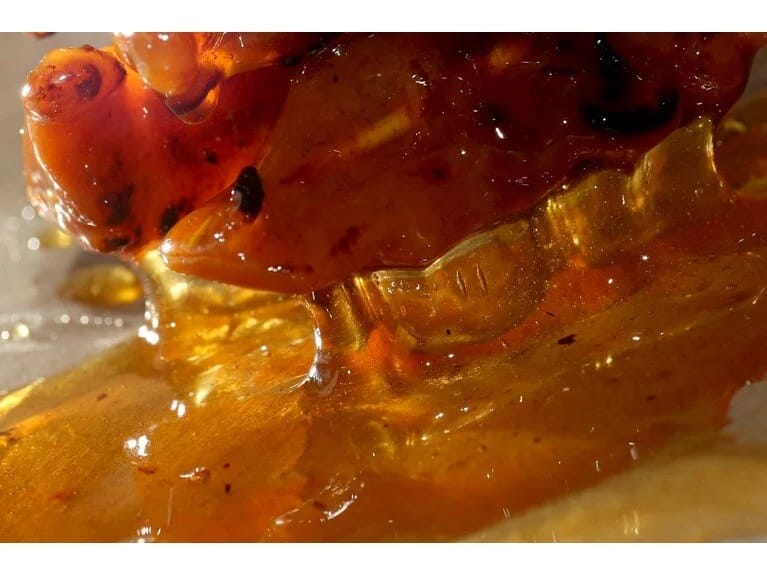 Bağırsaq xərçəngi gündən-günə artmaqdadır