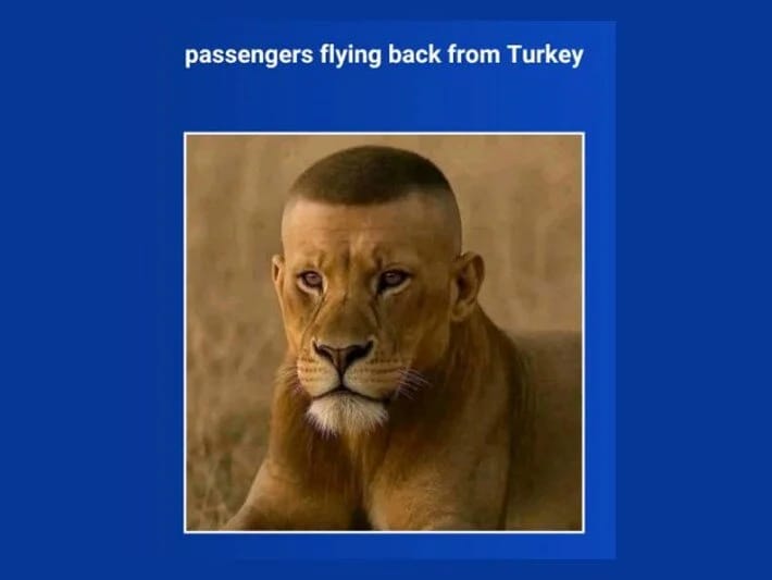 Aviasiya şirkəti saç əkilməsi ilə bağlı zarafat etdi