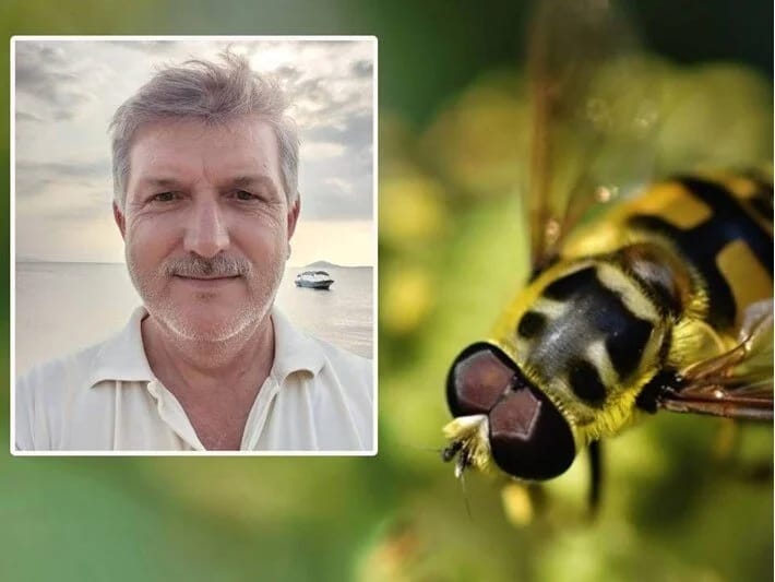 Türkiyədə arı dəhşəti: İki uşaq atası öldü, həyat yoldaşı infarkt keçirdi