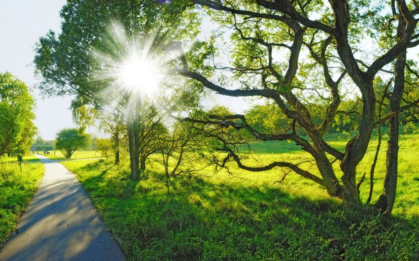 Bazar gününə olan hava proqnozu açıqlanıb