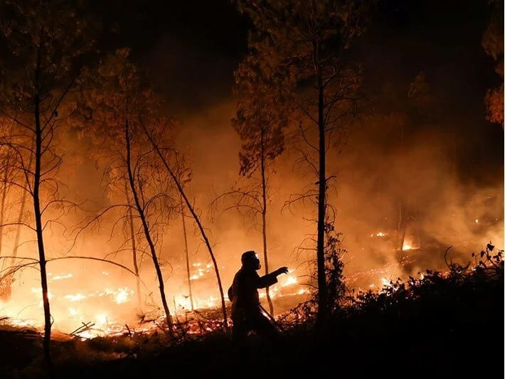 Yunanıstan meşə yanğınları ilə mübarizə aparır