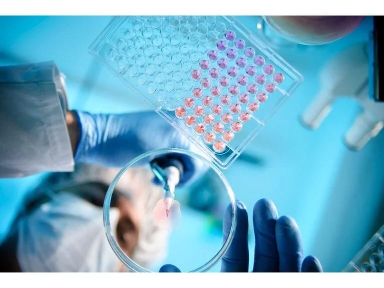 Alimlər bədən yaşını təyin etmək üçün sadə üsul tapıblar