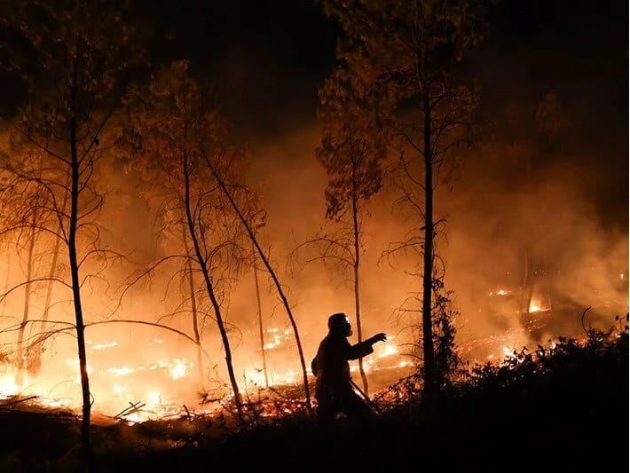 Peloponnes yarımadasında 12 min hektar meşə sahəsi külə dönüb