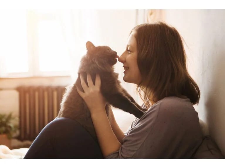 Nevroloq izah edir: Pişik cızıqları həyatınıza təsir edə bilər