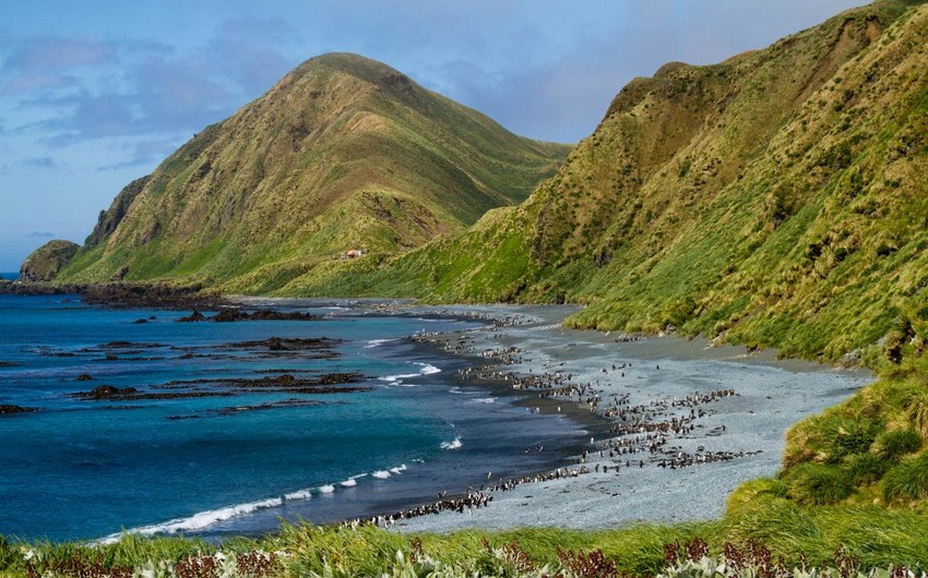 Makkuari adasında 6,2 maqnitudada zəlzələ qeydə alınıb