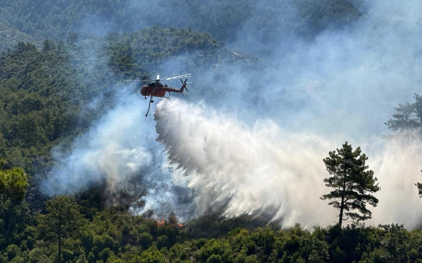 Türkiyədə meşə yanğınlarında üç könüllü ölüb