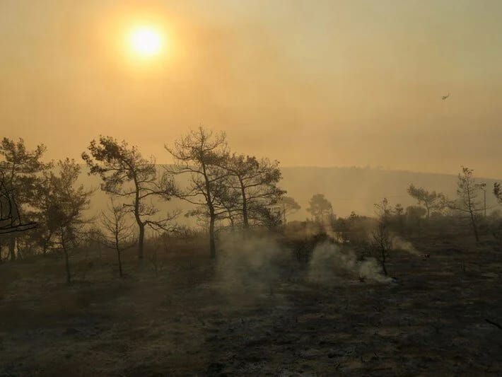 Kanada meşə yanğınları ABŞ havasını pozur