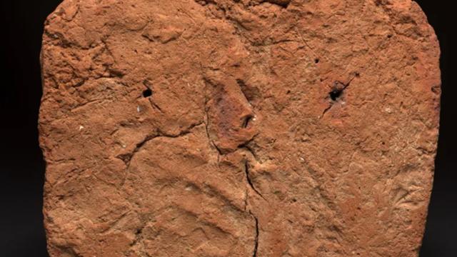 Qədim Misir məzarında 4000 illik əl izi aşkar edilib